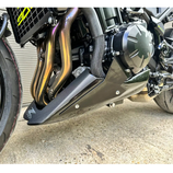S2 CONCEPT BELLYPAN Z900 25-
