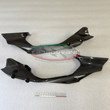 PANIGALE V4 2025 TAIL SIDE PANEL