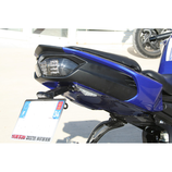 S2 CONCEPT UNDERTAIL FZ8