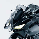 SWEEP DESIGN GP WING ZX-4R