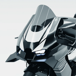 SWEEP DESIGN GP WING ZX-10R