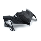 MAXI CARBON Z900 20-23 FRONT MASK