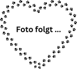 Schmuckperlen