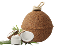UNIKA BALLS