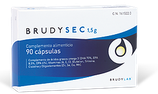 BrudySec