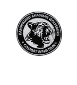 COMBAT WING TSUN EMBLEM