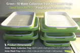 Green - 10 water collection tray + 10 mesh traySeed Sprouter Tray | Food Grade Sprouting Tray 绿色 - 10个接水盘 + 10个网格盘 种子发芽盘 | 食品级发芽盘