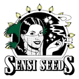 Super Skunk  - Sensi Seeds