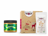 Aktiv Hunde-Glace Bundle