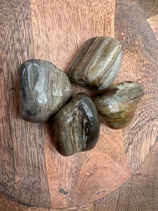 versteinertes Holz