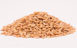 Petit Epeautre Bio  500gr en VRAC