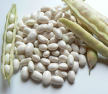 Haricots demi-secs