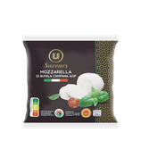 MOZZARELLA BUFALA SAVEURS 125G