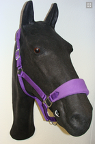 HB Halfter "Bellwood" Shetland Lila