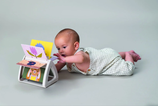 Taf Toys - Spinning book