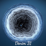 Denim 31