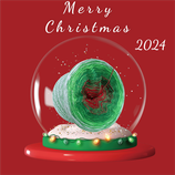 Merry Christmas 2024 Glitzi