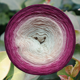 Bougainvilla