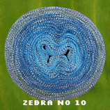 Zebra No 10