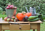 NUTRIVERSAL* - KINDER ESSEN GERN GEMÜSE