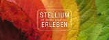 Das Stellium erleben am 30.10.2024 in Linz