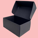 Black Box