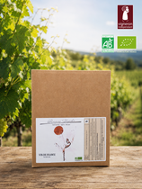 Bib vin blanc Bio 3L
