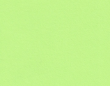 Tonpapier A4 apfelgrün