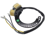 Statore fuoribordo per Mercury 5-40HP 2 tempi 86617A20