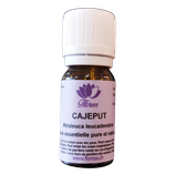 Huile essentielle de Cajeput