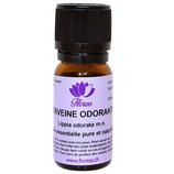 Huile essentielle de Verveine odorante
