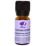 Synergie Flocon d'hiver