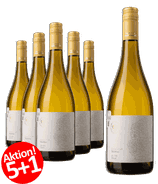 6-er Weinpaket -Familia Darabont Traminer 2021