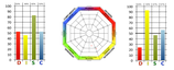 Informe DISC