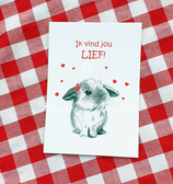 Kaart 'Valentijnsdag' konijn met hartjes