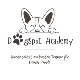 DogSpot Academy- Leinenführigkeit Online Training