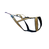 VIP DOGWEAR R-Harness Gold Edition