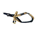 VIP DOGWEAR Multisport Gold Edition