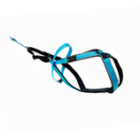 VIP DOGWEAR Multisport türkis 2.0