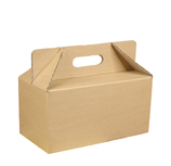 Carry Box 1 | CARRY-BOX-1
