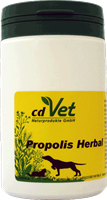 Propolis Herbal