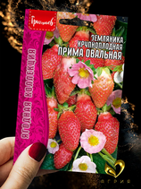 Земляника Крупноплодная ПРИМА ОВАЛЬНАЯ