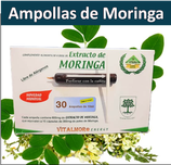 Extracto de Moringa Oleifera en ampollas