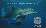 PADI Advanced Open Water Diver (Theorie)