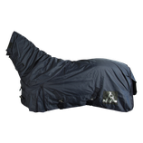 TopReiter Regendecke