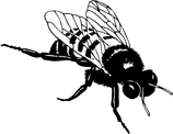 Holzstempel Biene