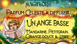 Synergie Un ange passe