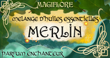 Synergie Merlin