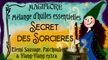 Synergie Secret des Sorcières