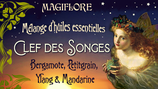 Synergie Clef des Songes